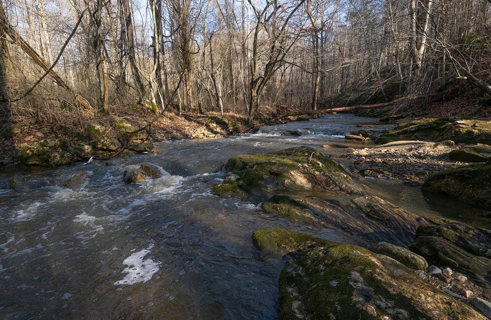 Ben's Run at Serenity Ridge Natural Burial Cemetery